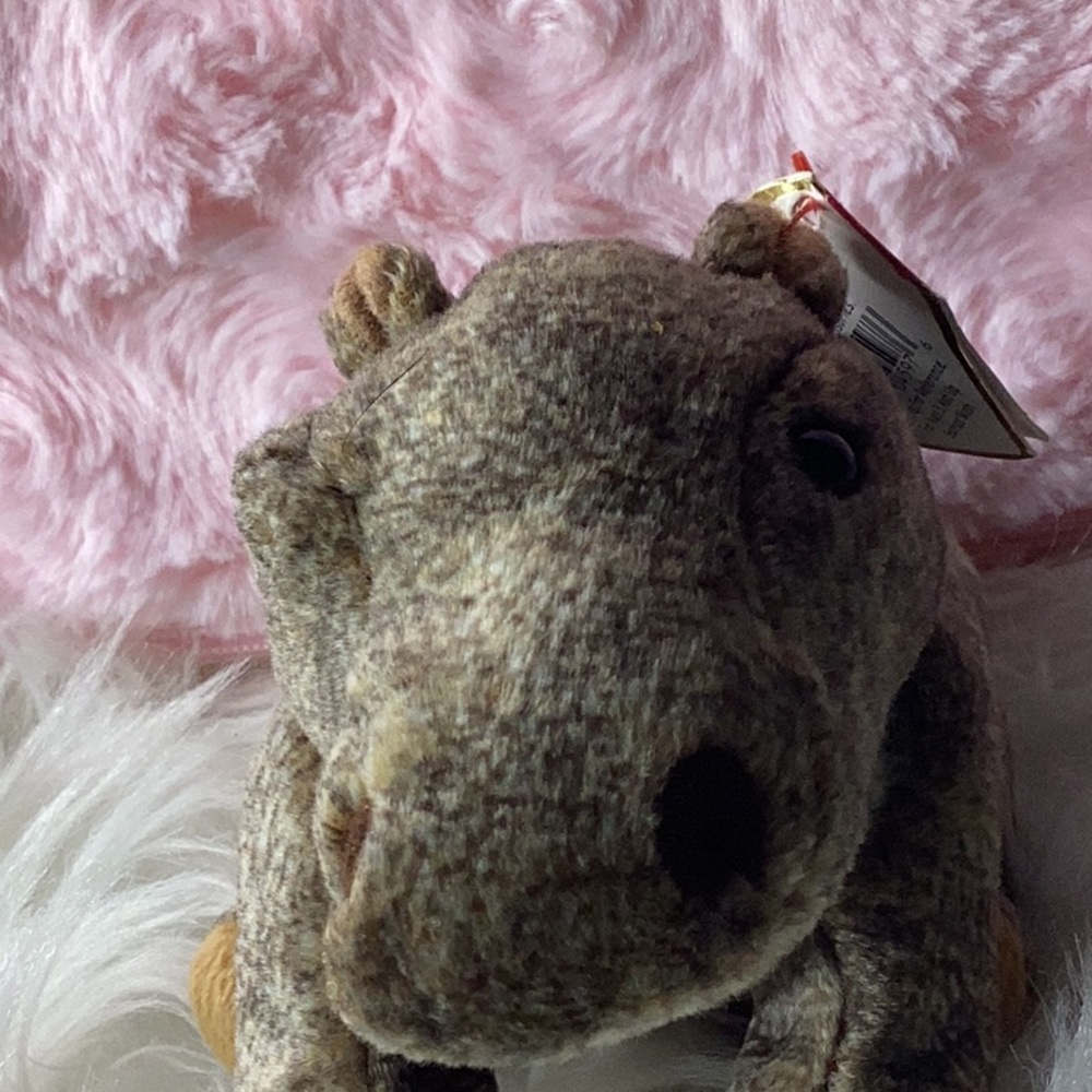 Hippo ty baby hippo